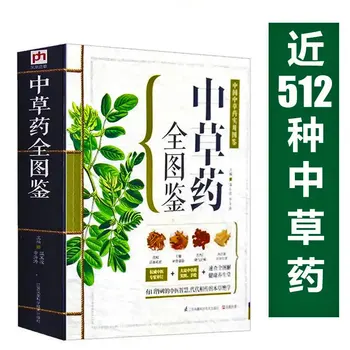 Täielik ülevaade raamat Hiina taimne ravim Hiina iidseid raamatuid, värvimine raamatu Teoreetiline Õpik